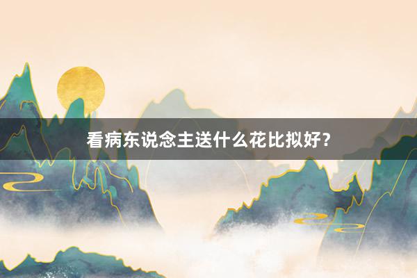 看病东说念主送什么花比拟好？