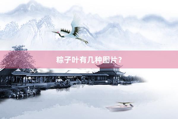 粽子叶有几种图片？