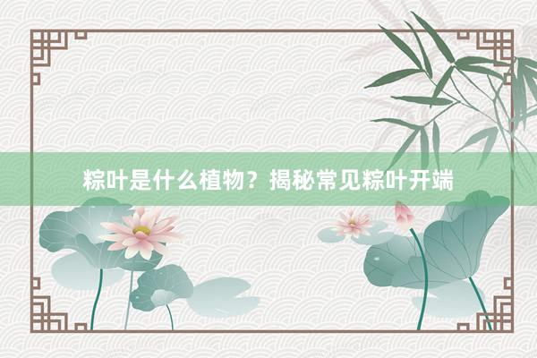 粽叶是什么植物？揭秘常见粽叶开端