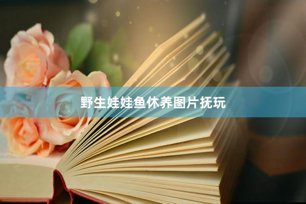 野生娃娃鱼休养图片抚玩