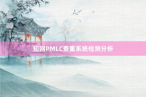 知网PMLC查重系统检测分析